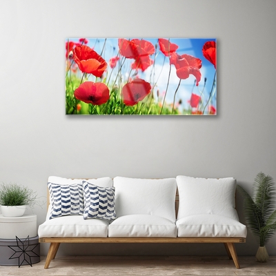 Glasbild aus Plexiglas® Mohnblumen Gras Natur