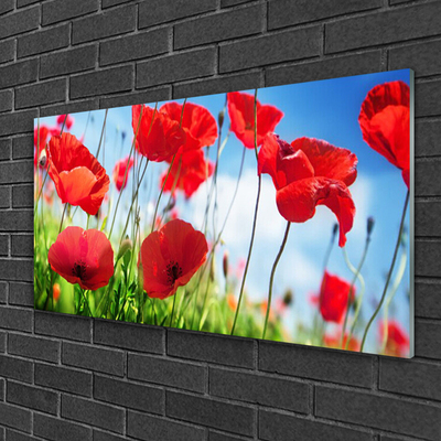 Glasbild aus Plexiglas® Mohnblumen Gras Natur