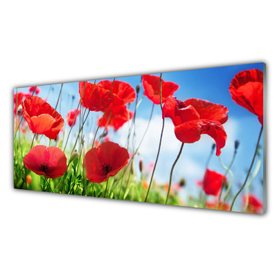 Glasbild aus Plexiglas® Mohnblumen Gras Natur