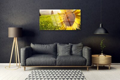 Glasbild aus Plexiglas® Sonnenblume Pflanzen