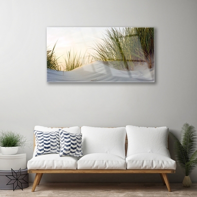 Glasbild aus Plexiglas® Sand Gras Landschaft