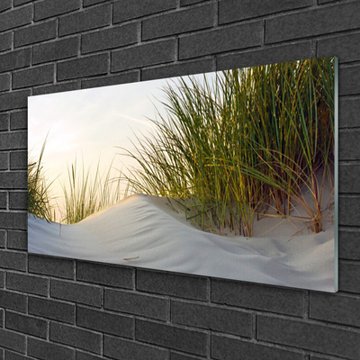 Glasbild aus Plexiglas® Sand Gras Landschaft