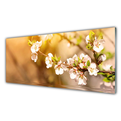 Glasbild aus Plexiglas® Blumen Pflanzen