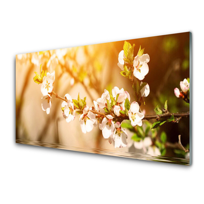 Glasbild aus Plexiglas® Blumen Pflanzen