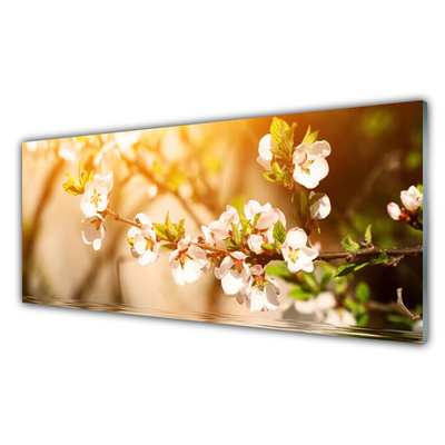 Glasbild aus Plexiglas® Blumen Pflanzen