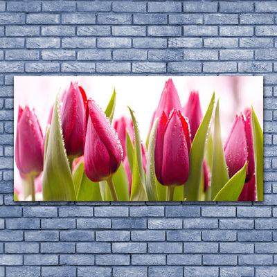 Glasbild aus Plexiglas® Tulpen Pflanzen