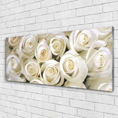 Glasbild aus Plexiglas® Rosen Pflanzen