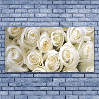 Glasbild aus Plexiglas® Rosen Pflanzen