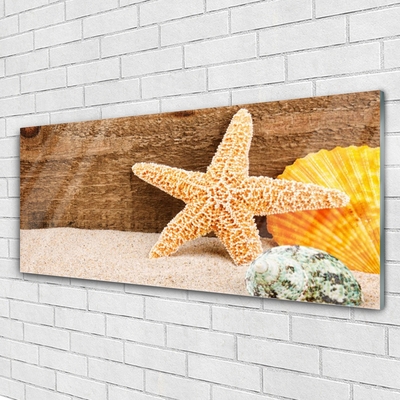 Glasbild aus Plexiglas® Sand Seestern Muscheln Kunst