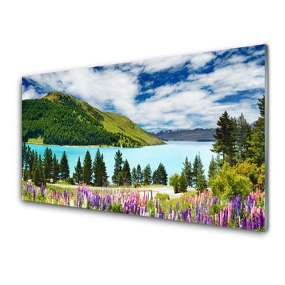 Glasbild aus Plexiglas® Gebirge Wald See Wiese Landschaft