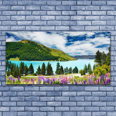 Glasbild aus Plexiglas® Gebirge Wald See Wiese Landschaft