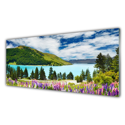 Glasbild aus Plexiglas® Gebirge Wald See Wiese Landschaft
