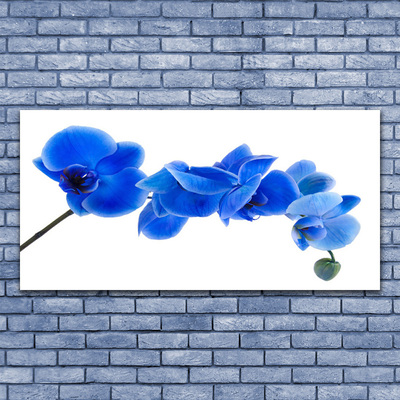 Glasbild aus Plexiglas® Blume Pflanzen