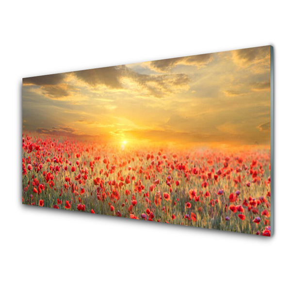 Glasbild aus Plexiglas® Sonne Wiese Mohnblumen Natur
