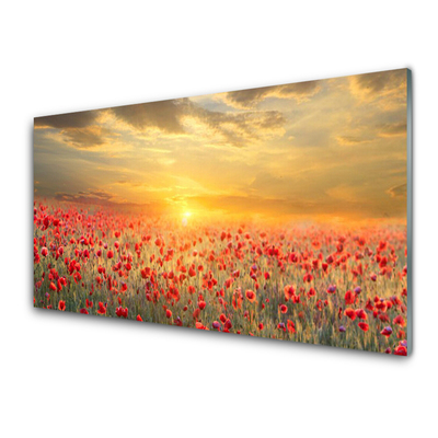 Wandbilder aus Plexiglas® 100x50 Acrylglasbild Sonne Wiese Blumen Natur 