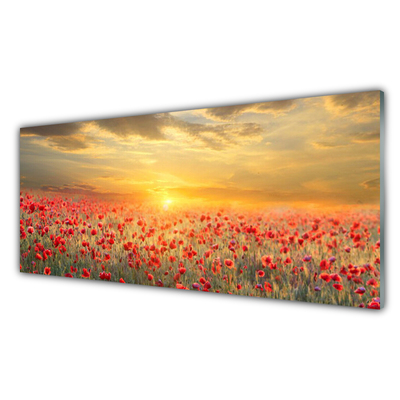 Glasbild aus Plexiglas® Sonne Wiese Mohnblumen Natur