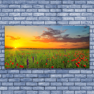 Glasbild aus Plexiglas® Sonne Wiese Blumen Natur