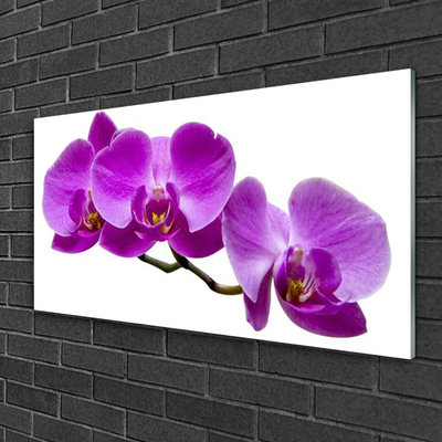 Glasbild aus Plexiglas® Blumen Pflanzen