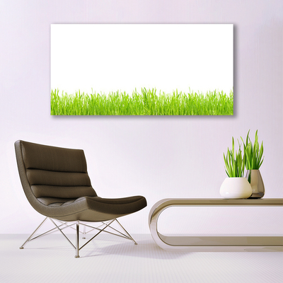 Glasbild aus Plexiglas® Gras Natur