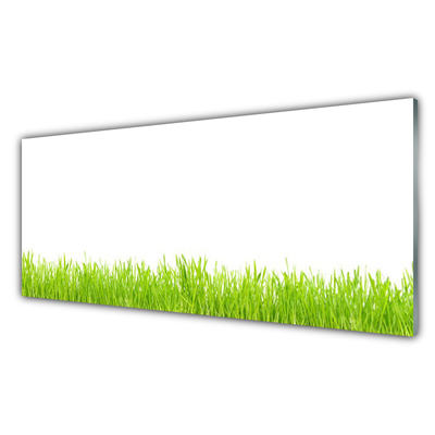 Glasbild aus Plexiglas® Gras Natur