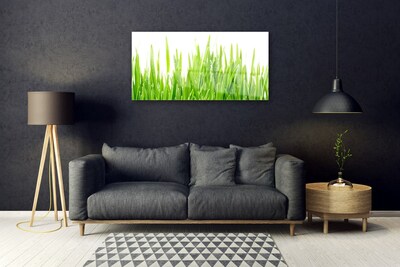 Glasbild aus Plexiglas® Gras Natur