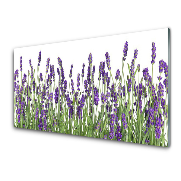 Glasbild aus Plexiglas® Blumen Pflanzen