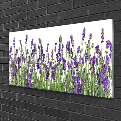 Glasbild aus Plexiglas® Blumen Pflanzen