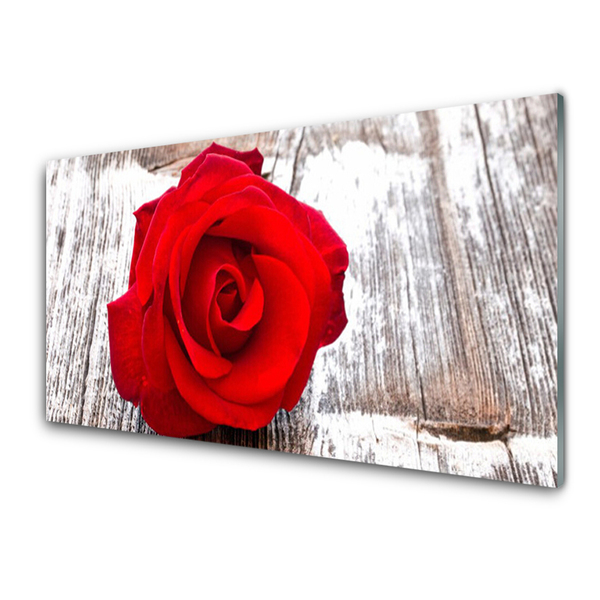 Glasbild aus Plexiglas® Rose Pflanzen