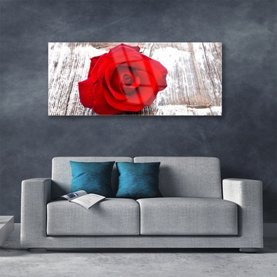 Glasbild aus Plexiglas® Rose Pflanzen