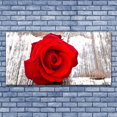 Glasbild aus Plexiglas® Rose Pflanzen