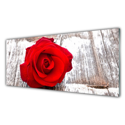 Glasbild aus Plexiglas® Rose Pflanzen