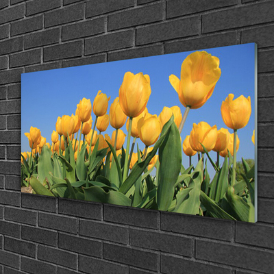 Glasbild aus Plexiglas® Tulpen Pflanzen