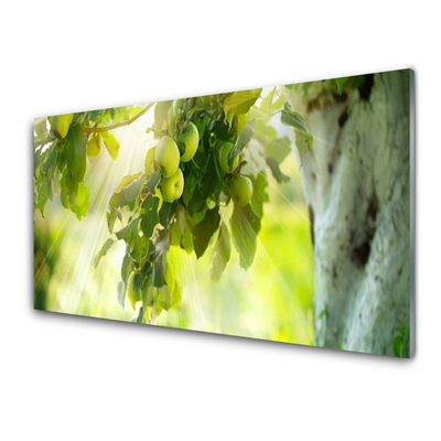 Glasbild aus Plexiglas® Zweig Äpfel Küche