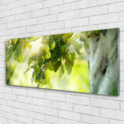 Glasbild aus Plexiglas® Zweig Äpfel Küche