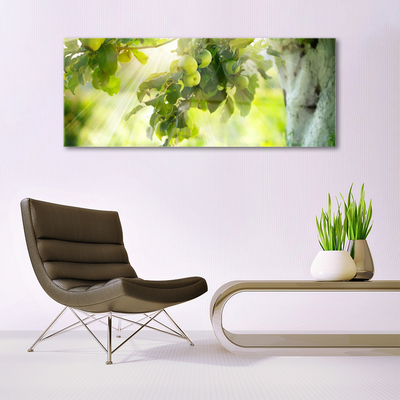 Glasbild aus Plexiglas® Zweig Äpfel Küche
