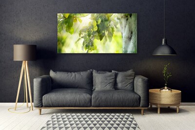 Glasbild aus Plexiglas® Zweig Äpfel Küche