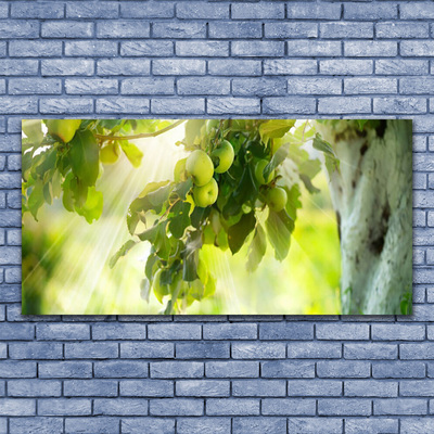 Glasbild aus Plexiglas® Zweig Äpfel Küche