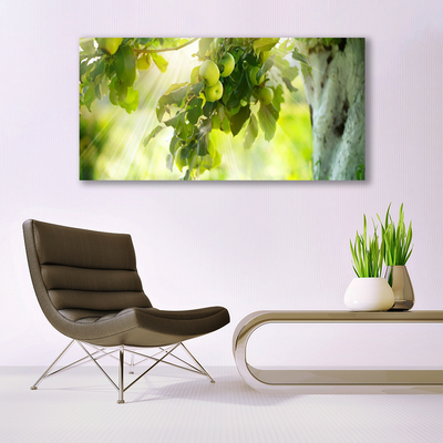Glasbild aus Plexiglas® Zweig Äpfel Küche