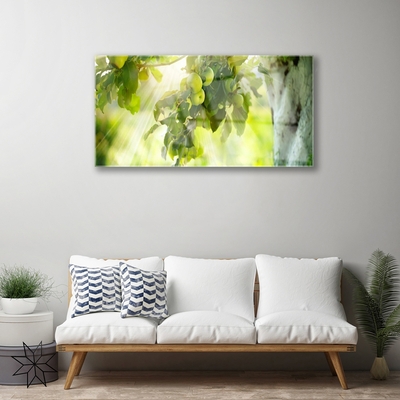 Glasbild aus Plexiglas® Zweig Äpfel Küche
