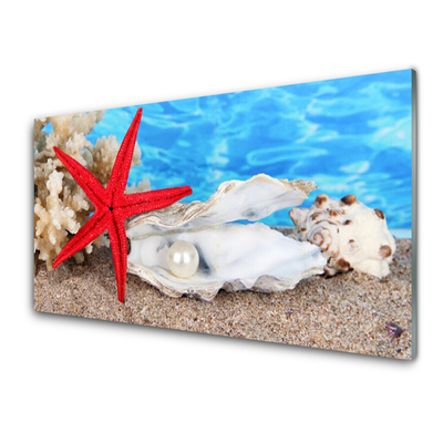 Glasbild aus Plexiglas® Seestern Muscheln Natur