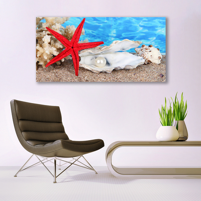 Glasbild aus Plexiglas® Seestern Muscheln Natur