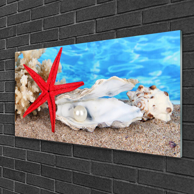 Glasbild aus Plexiglas® Seestern Muscheln Natur