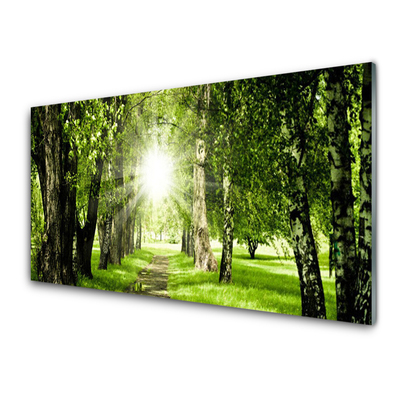 Glasbild aus Plexiglas® Wald Sonne Fußpfad Natur