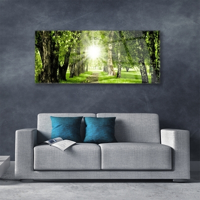 Glasbild aus Plexiglas® Wald Sonne Fußpfad Natur