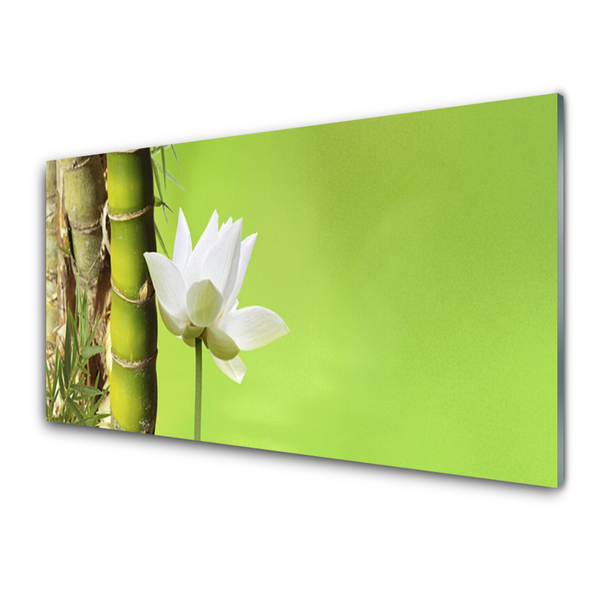 Glasbild aus Plexiglas® Bambusrohr Blume Pflanzen