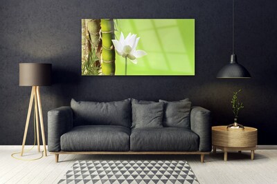 Glasbild aus Plexiglas® Bambusrohr Blume Pflanzen