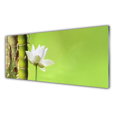 Glasbild aus Plexiglas® Bambusrohr Blume Pflanzen