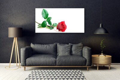 Glasbild aus Plexiglas® Rose Pflanzen