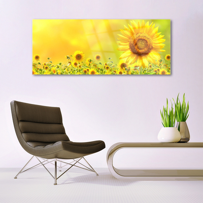 Glasbild aus Plexiglas® Sonnenblumen Pflanzen
