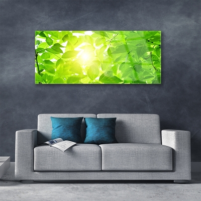 Glasbild aus Plexiglas® Blätter Pflanzen